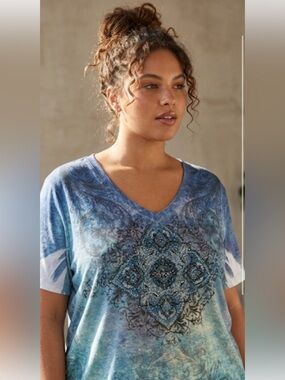 Kiara Blue Graphic Print V-Neck Short Sleeve Top XXL Scroll Medallion Boho Y2K
